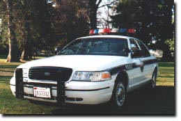 Police Looking for Hit & Run Driver